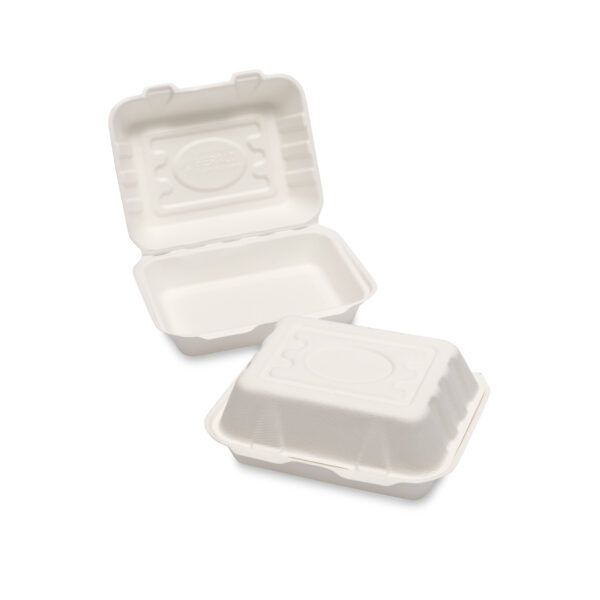 HP9 White Bagasse Medium Box 5x50's